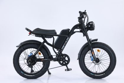 Ebike,750W Motor,48V15.6Ah Battery,20 Inches,Maximum Speed 45KM CJZX217720301AZ