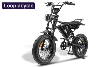 Ebike,1000W Motor,48V15Ah Battery,20 Inches,Maximum Speed 45-50KM  CJZX219376901AZ