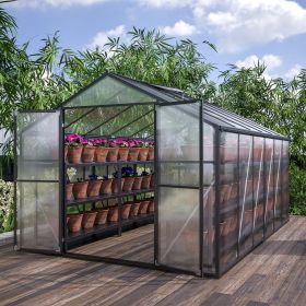 8' x 12' Outdoor greenhouse, heavy duty polycarbonate greenhouse, large walk-in greenhouse with double doors and two ventilation windows