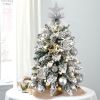 22in Mini Christmas Tree with Light Artificial Small Tabletop Christmas Decoration with Flocked Snow