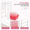 6 Drawers Rolling Storage Cart Organizer